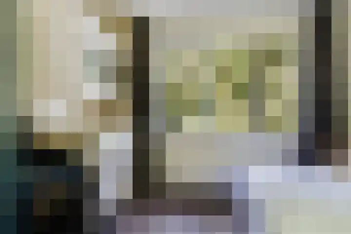 Molenweg 32 Epe thumbnail 16