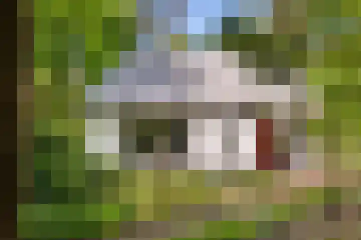 Molenweg 32 Epe thumbnail 19