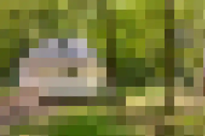 Molenweg 32 Epe thumbnail 20