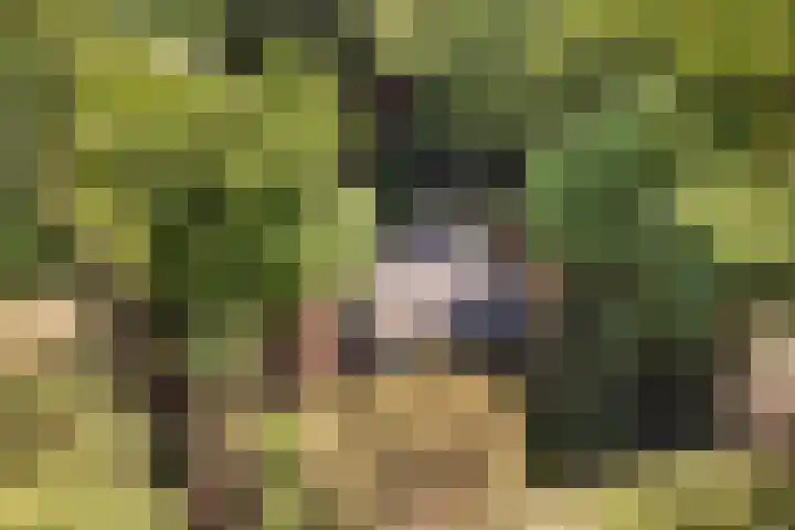 Molenweg 32 Epe thumbnail 4