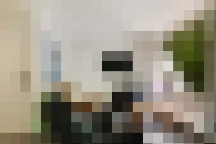 Molenweg 32 Epe thumbnail 5