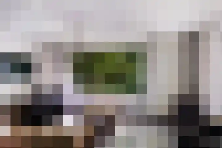 Molenweg 32 Epe thumbnail 7