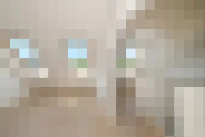 Molenweg 32 Steenbergen thumbnail 23