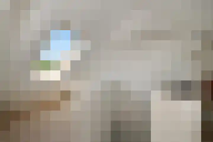 Molenweg 32 Steenbergen thumbnail 24