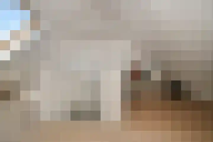 Molenweg 32 Steenbergen thumbnail 26