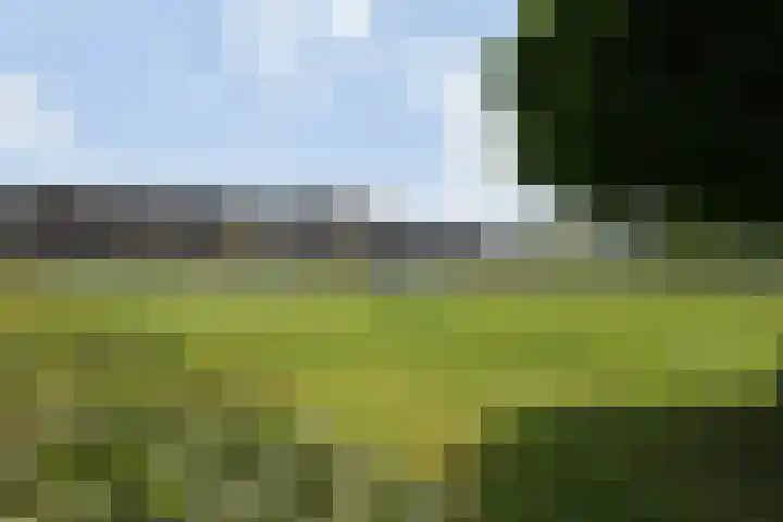 Molenweg 32 Steenbergen thumbnail 34
