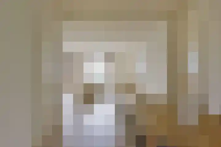Molenweg 32 Wijdenes thumbnail 10
