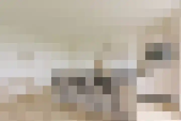 Molenweg 32 Wijdenes thumbnail 12