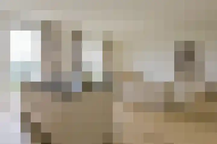 Molenweg 32 Wijdenes thumbnail 13