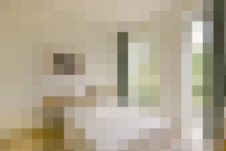 Molenweg 32 Wijdenes thumbnail 16