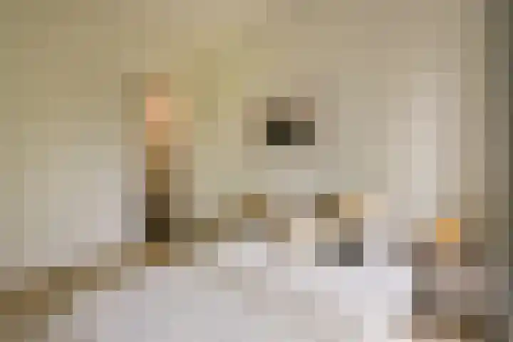 Molenweg 32 Wijdenes thumbnail 17