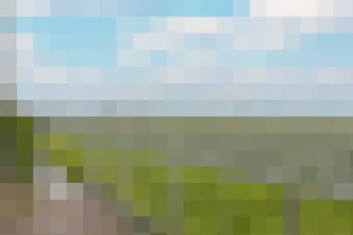 Molenweg 32 Wijdenes thumbnail 21