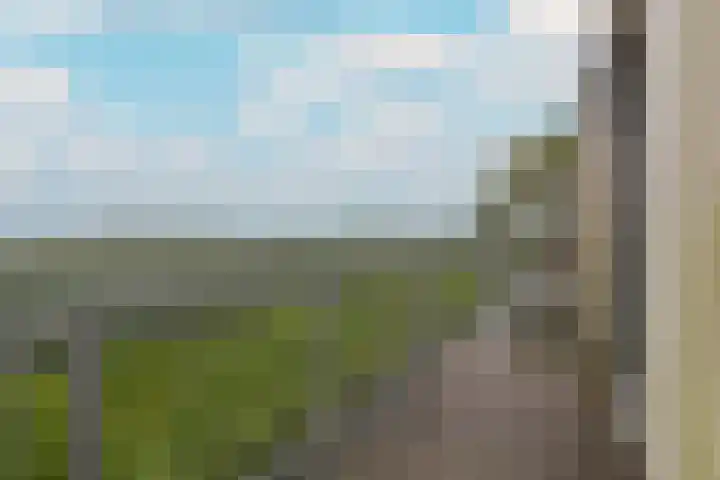 Molenweg 32 Wijdenes thumbnail 22