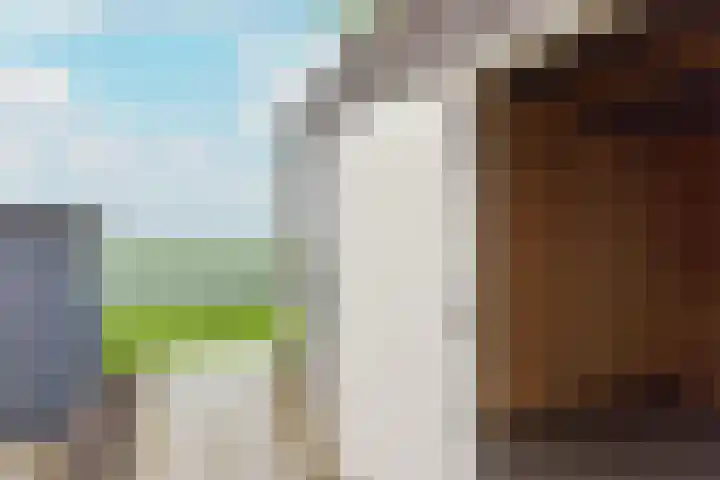 Molenweg 32 Wijdenes thumbnail 23