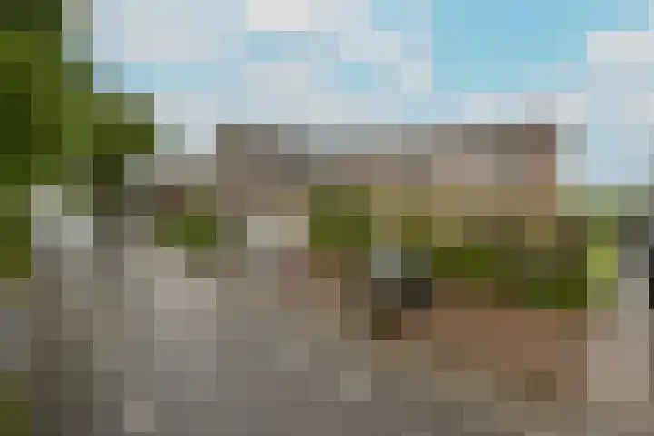 Molenweg 32 Wijdenes thumbnail 25
