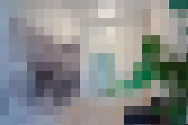 Molenweg 32 Wijdenes thumbnail 4