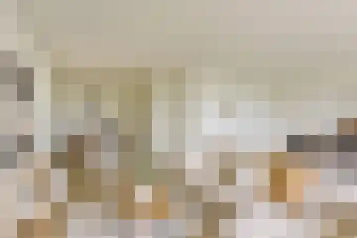 Molenweg 32 Wijdenes thumbnail 7