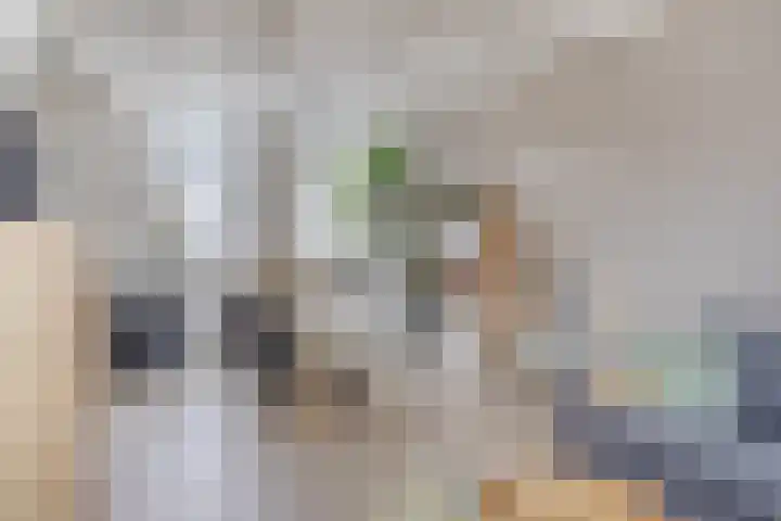 Molenweg 33 Arnemuiden thumbnail 10