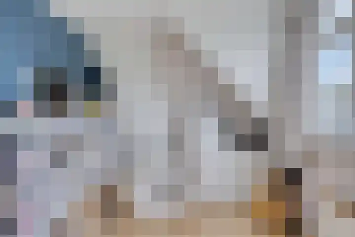 Molenweg 33 Arnemuiden thumbnail 20