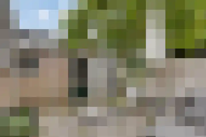 Molenweg 33 Arnemuiden thumbnail 22