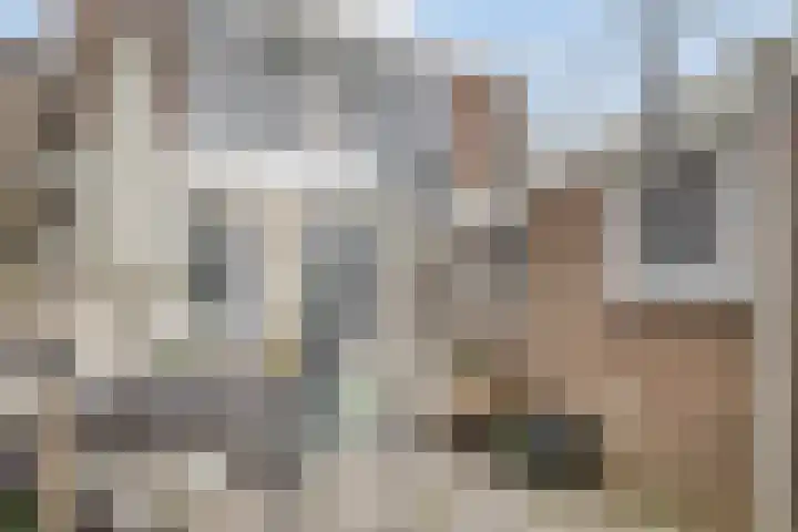 Molenweg 33 Arnemuiden thumbnail 24
