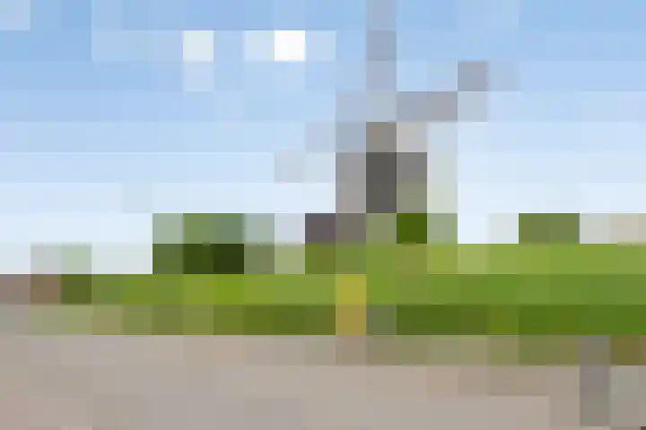 Molenweg 33 Arnemuiden thumbnail 5