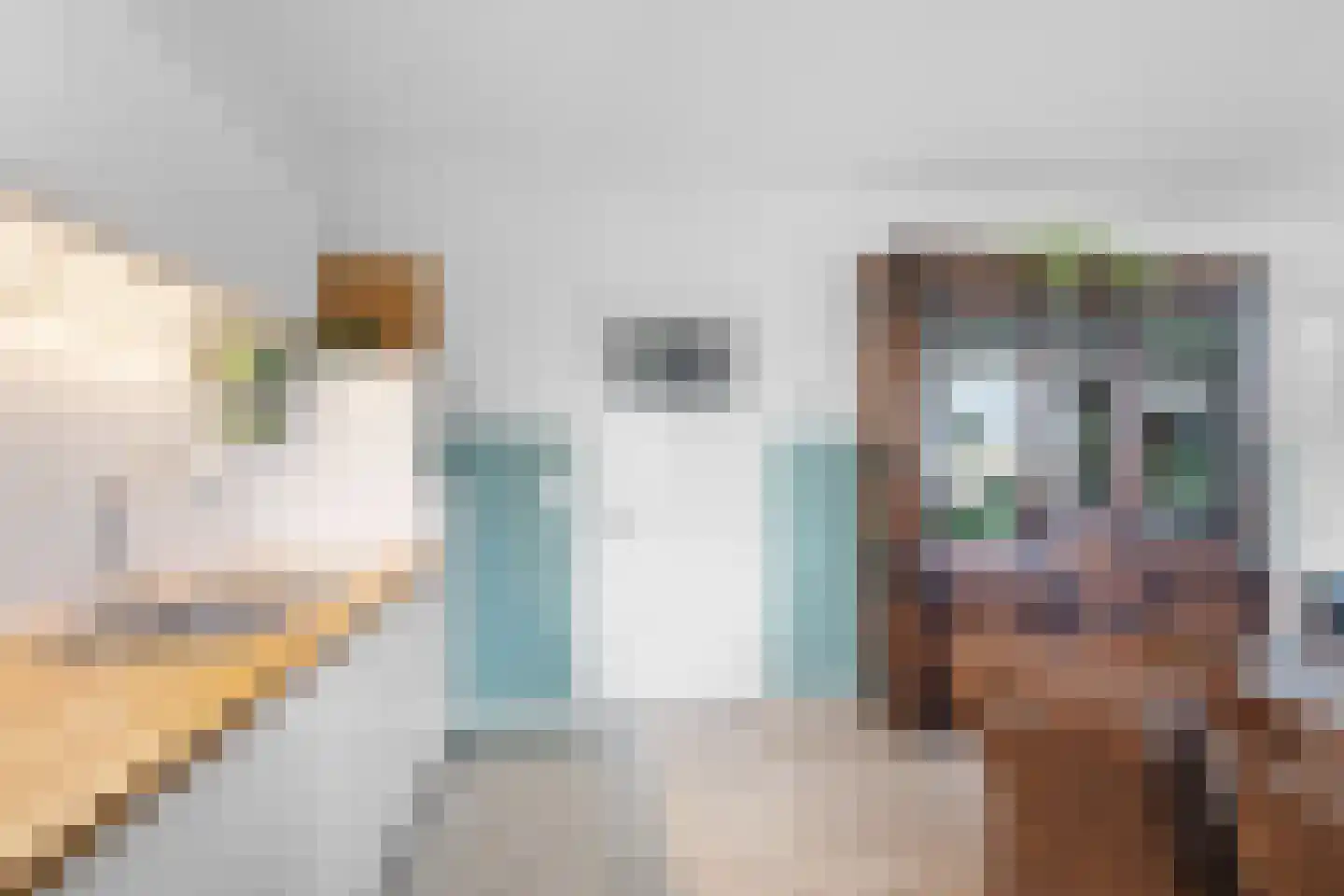Molenweg 33 Bergharen thumbnail 15