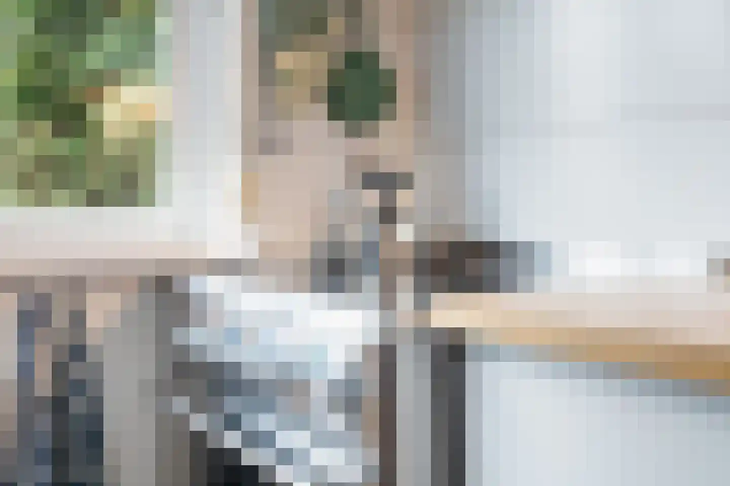 Molenweg 33 Bergharen thumbnail 18