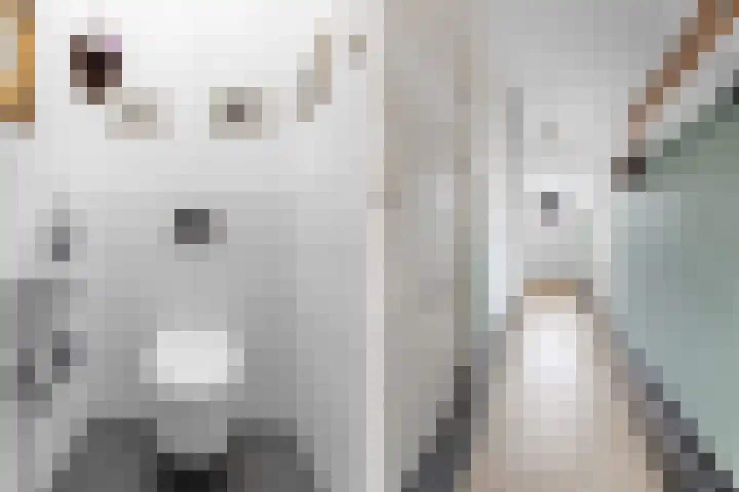 Molenweg 33 Bergharen thumbnail 23