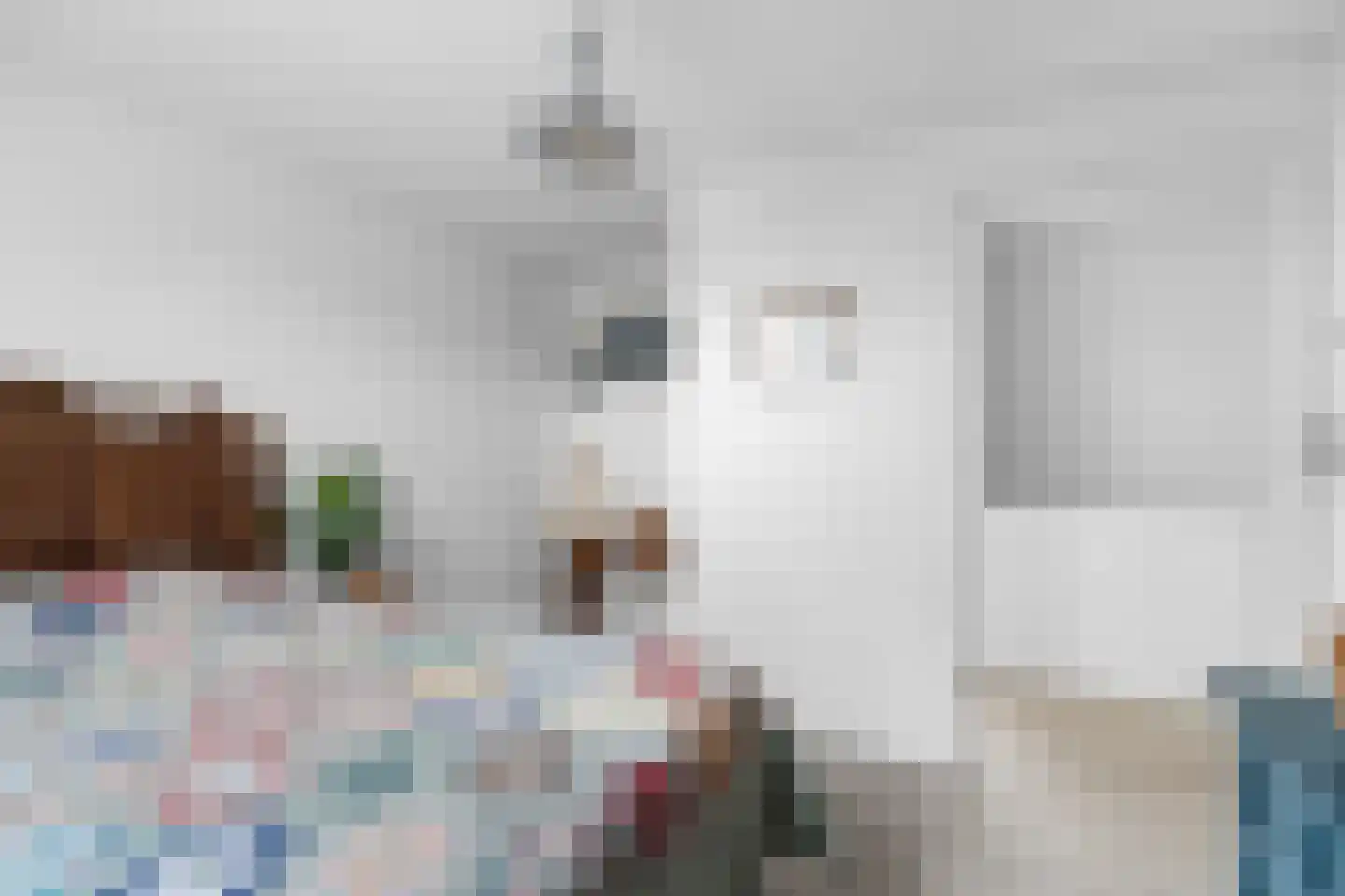 Molenweg 33 Bergharen thumbnail 27