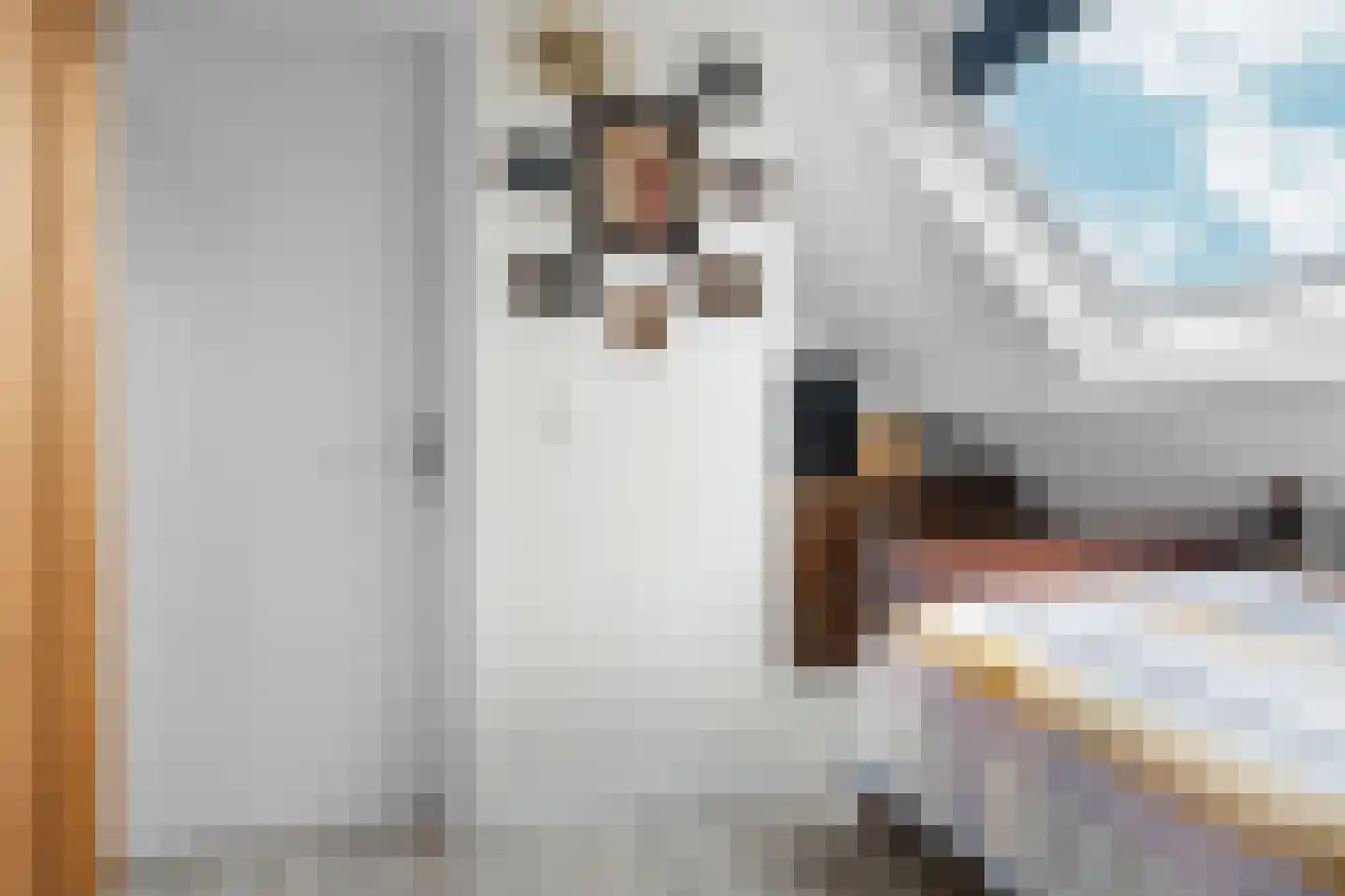 Molenweg 33 Bergharen thumbnail 29