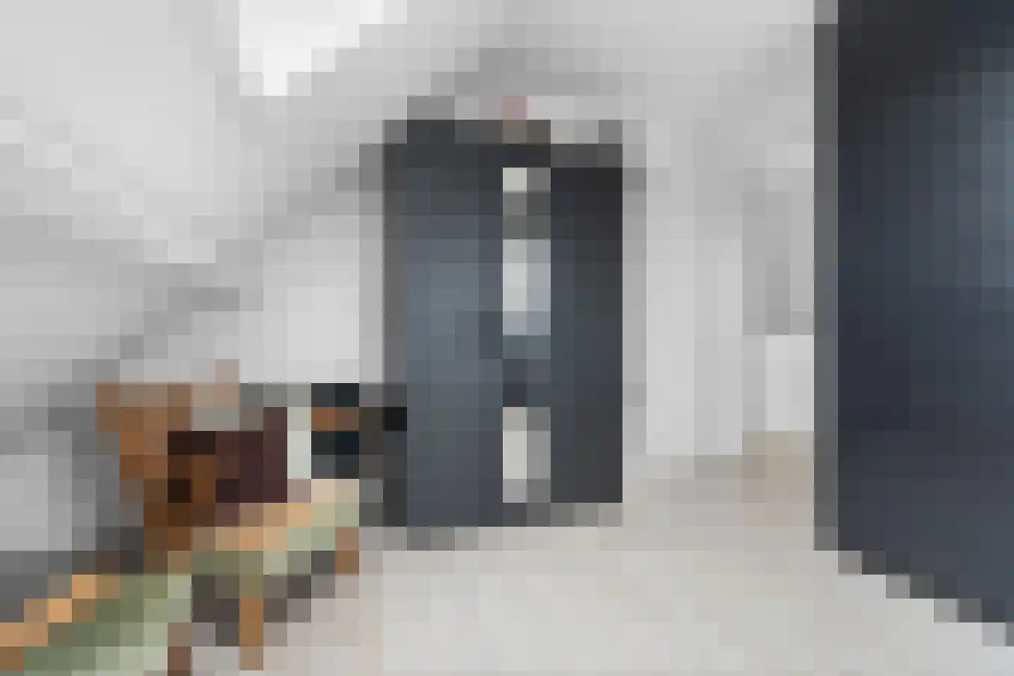 Molenweg 33 Bergharen thumbnail 32