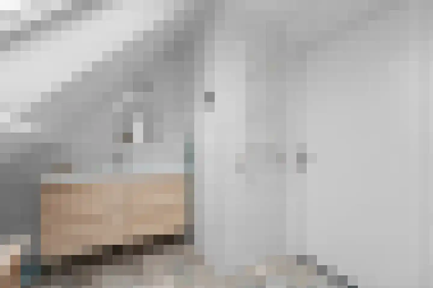 Molenweg 33 Bergharen thumbnail 35