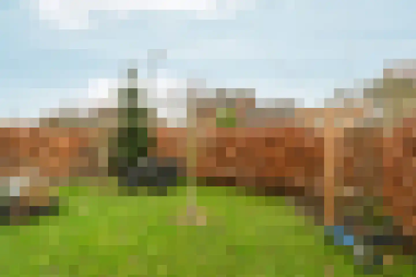 Molenweg 33 Bergharen thumbnail 37