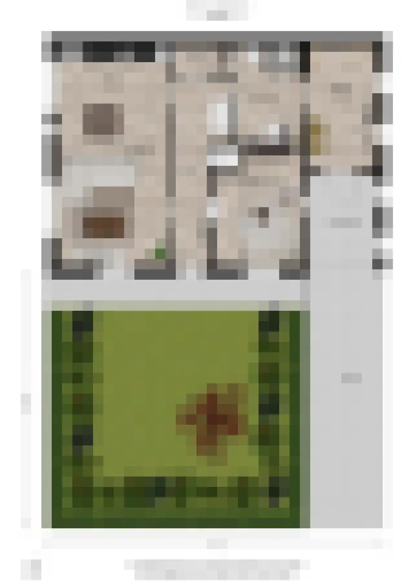 Molenweg 33 Bergharen thumbnail 43