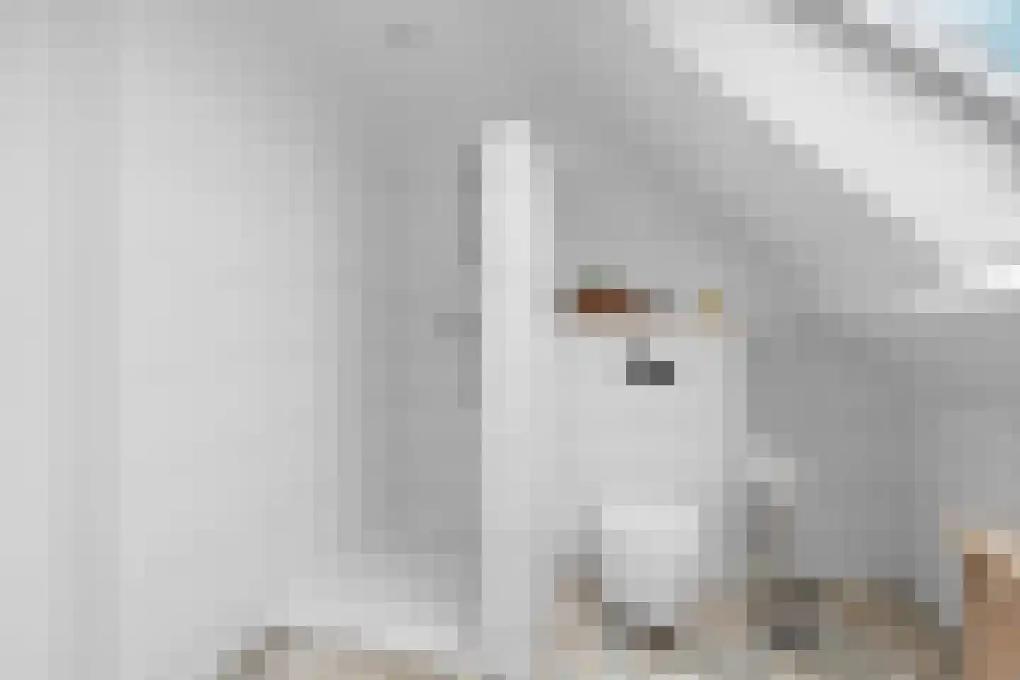 Molenweg 33 Bergharen thumbnail 5