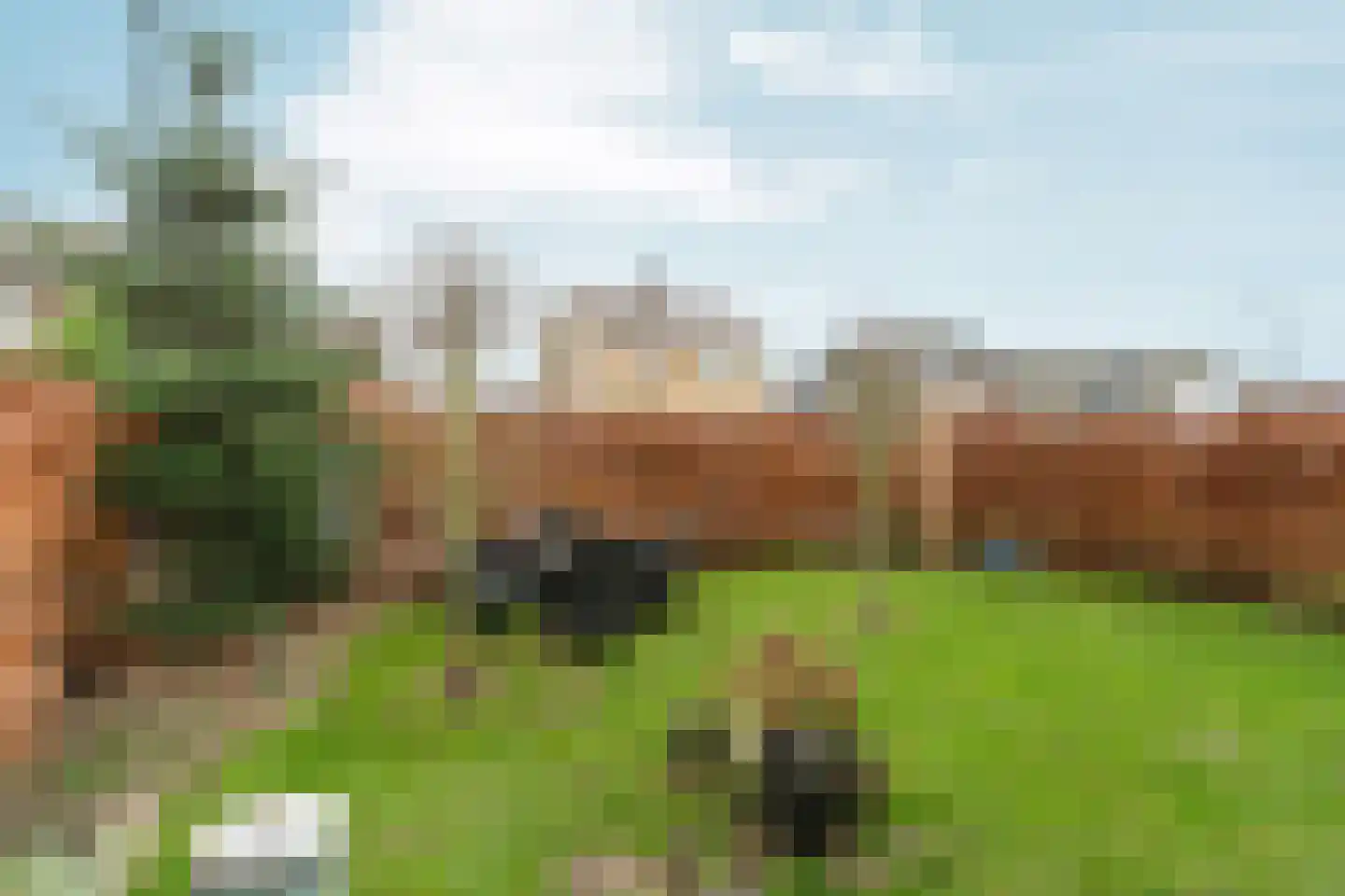 Molenweg 33 Bergharen thumbnail 6