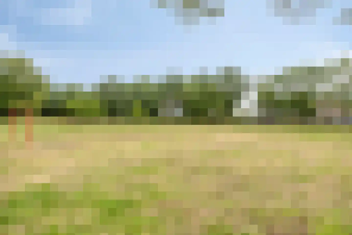 Molenweg 33 Oss thumbnail 22