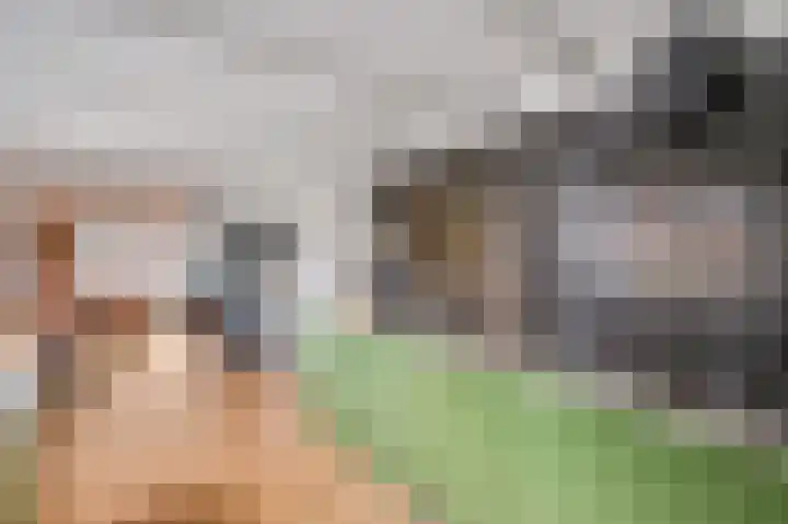 Molenweg 33 Voorthuizen thumbnail 18