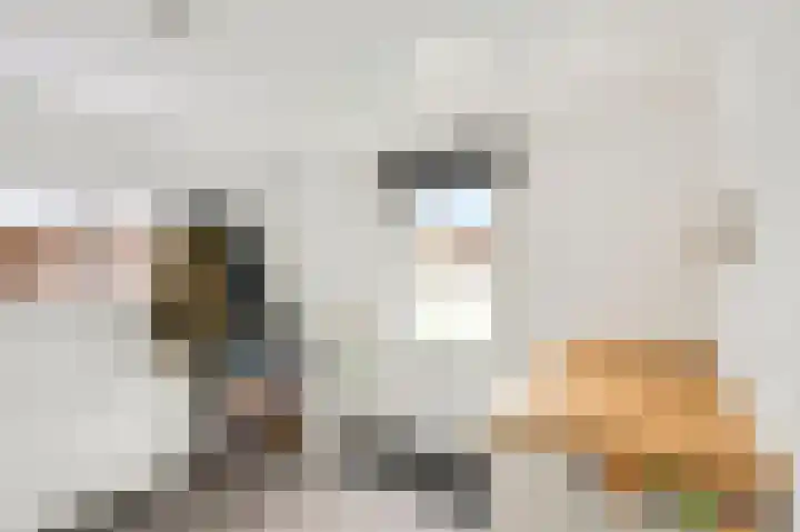 Molenweg 33 Voorthuizen thumbnail 20