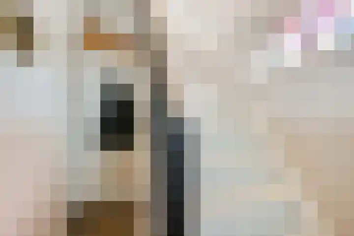 Molenweg 33 Voorthuizen thumbnail 23