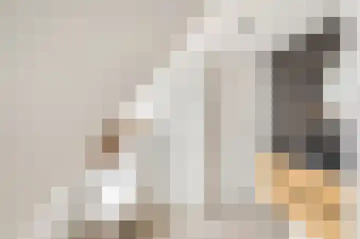 Molenweg 33 Voorthuizen thumbnail 31