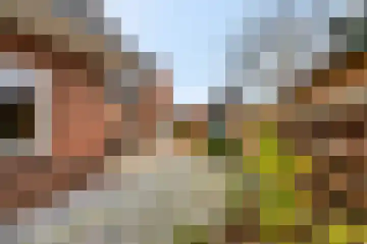 Molenweg 33 Voorthuizen thumbnail 39