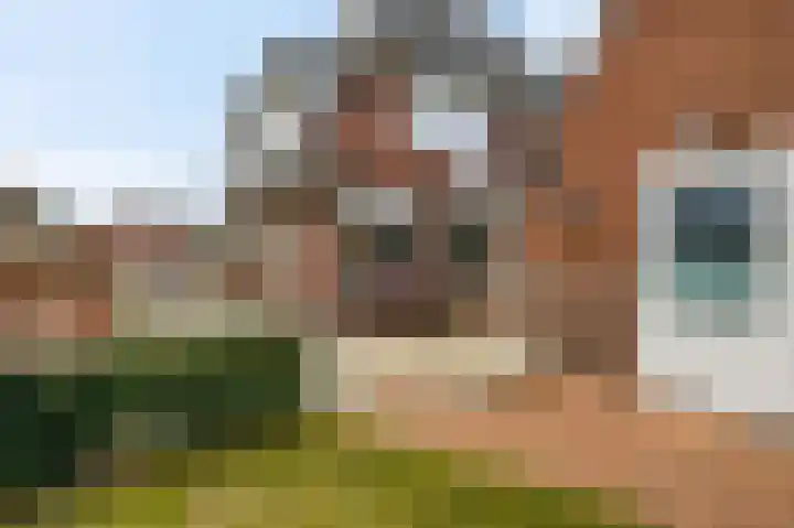 Molenweg 33 Voorthuizen thumbnail 40