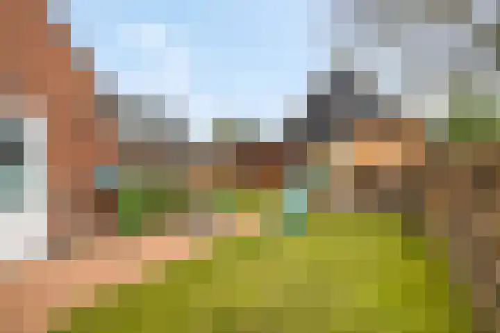 Molenweg 33 Voorthuizen thumbnail 41