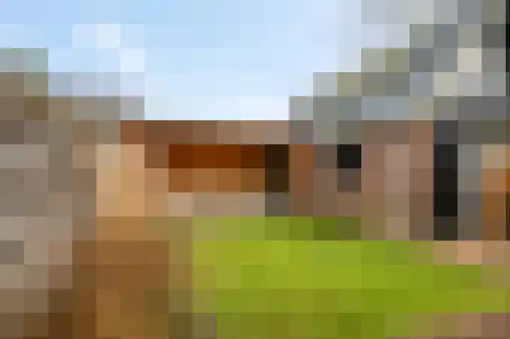 Molenweg 33 Voorthuizen thumbnail 42