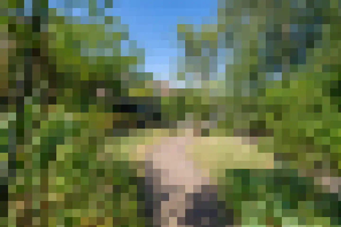 Molenweg 34 Amstelveen thumbnail 34
