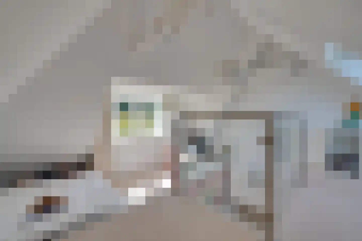 Molenweg 34 Amstelveen thumbnail 63