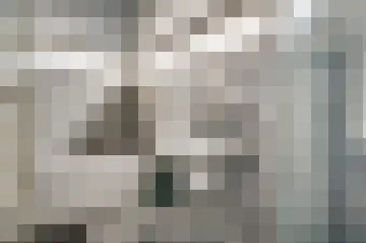 Molenweg 34 Linne thumbnail 13