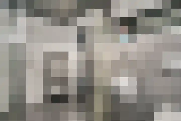 Molenweg 34 Linne thumbnail 14